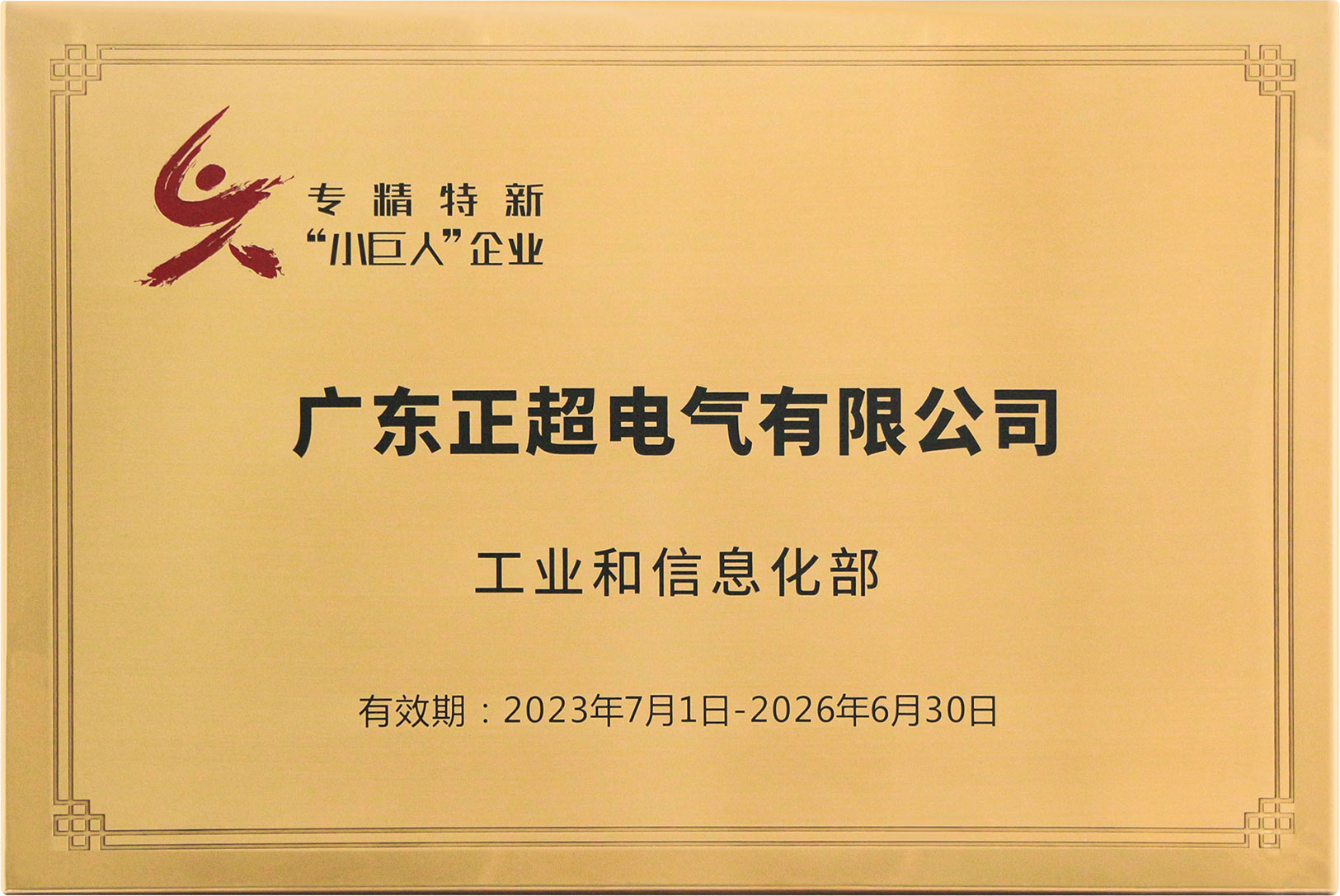 国家专精特新小巨人企业